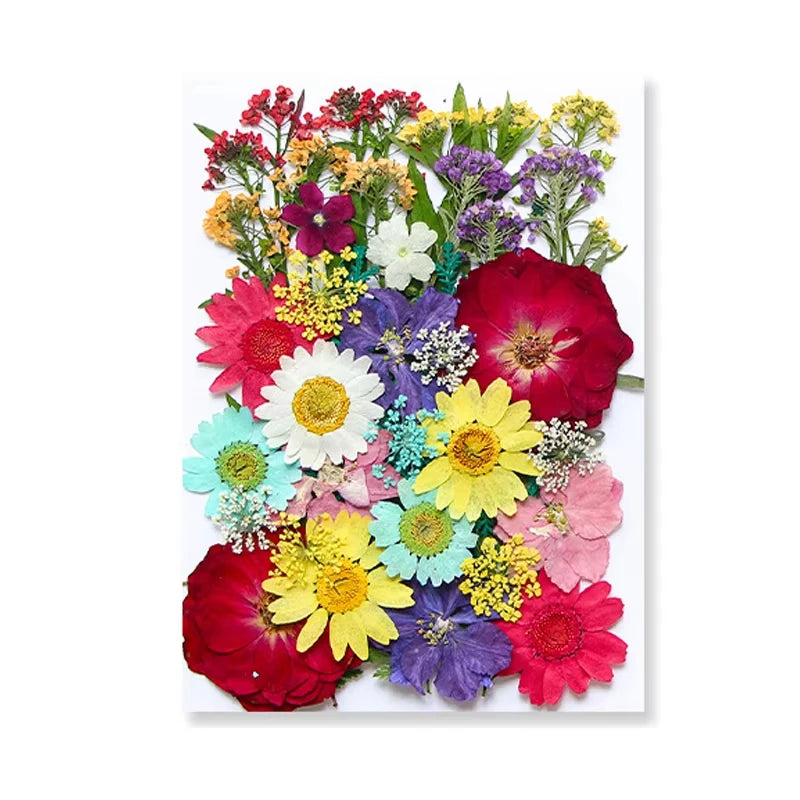 Dried Flowers Real Natural Plant Pressed Flower for Tray Mold Epoxy Resin DIY Coaster Making Decoration Home Accessories Crafts
