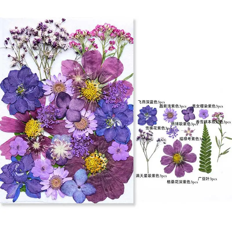 New Mixed Style Dried Pressed Flowers for DIY Resin Jewelry Mold Making Natural Real Dried Flower Leaves Candle Art Decoration