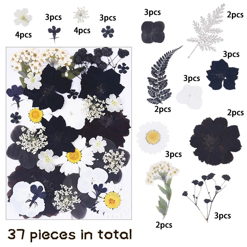 1 Bag 34-40PCS Dried Pressed Flowers For DIY Phone Case Jewelry Making Crafts Natural Real Flowers Nail Art Decor Party Home