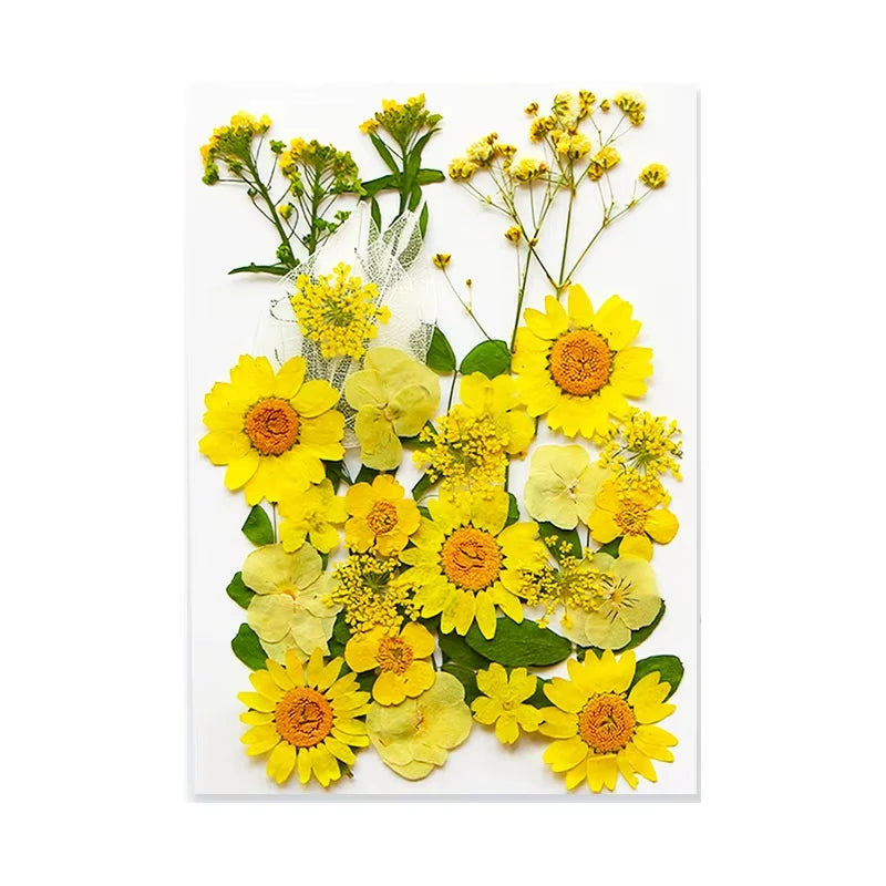 Dried Flowers Real Natural Plant Pressed Flower for Tray Mold Epoxy Resin DIY Coaster Making Decoration Home Accessories Crafts