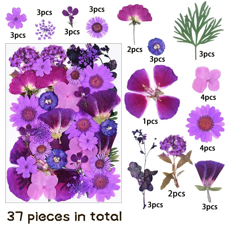1 Bag 34-40PCS Dried Pressed Flowers For DIY Phone Case Jewelry Making Crafts Natural Real Flowers Nail Art Decor Party Home