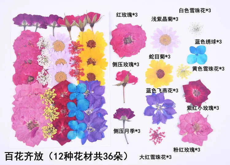 1 Package 34-40PCS Dried Flowers DIY Pressed Flowers Stickers For Resin Mold Fiilings Jewelry Making Crafts Nail Art Decor