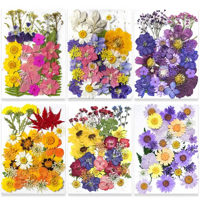 New Mixed Style Dried Pressed Flowers for DIY Resin Jewelry Mold Making Natural Real Dried Flower Leaves Candle Art Decoration