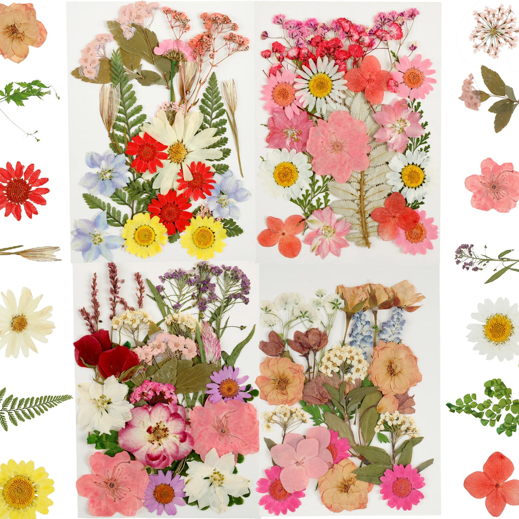 90Pcs Dried Pressed Flowers for Resin Molds Colorful Real Pressed Flowers Natural Dry Pressed Flowers Beautiful Dried Flower DIY