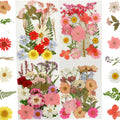 90Pcs Dried Pressed Flowers for Resin Molds Colorful Real Pressed Flowers Natural Dry Pressed Flowers Beautiful Dried Flower DIY