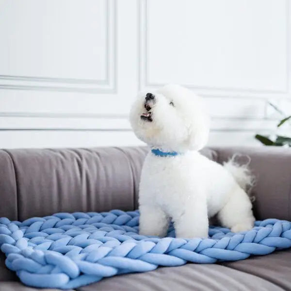 1KG Thick Super Bulky Chunky Yarn for Hand Knitting Crochet Soft Big Cotton DIY Arm Knitting Roving Spinning Yarn for Blanket