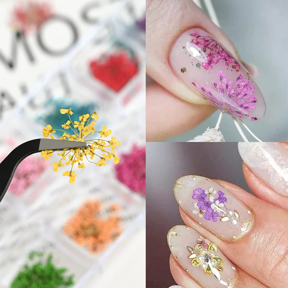12Grid Colorful Dried Flower For Nail Charms Natural Floral Sticker Mix Dry Flowers Decal DIY UV Gel Polish Nail Art Manicure