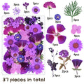 1 Package 34-40PCS Dried Flowers DIY Pressed Flowers Stickers For Resin Mold Fiilings Jewelry Making Crafts Nail Art Decor