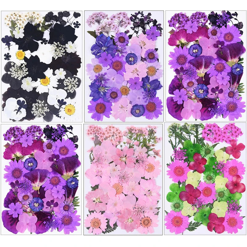 1 Package 34-40PCS Dried Flowers DIY Pressed Flowers Stickers For Resin Mold Fiilings Jewelry Making Crafts Nail Art Decor