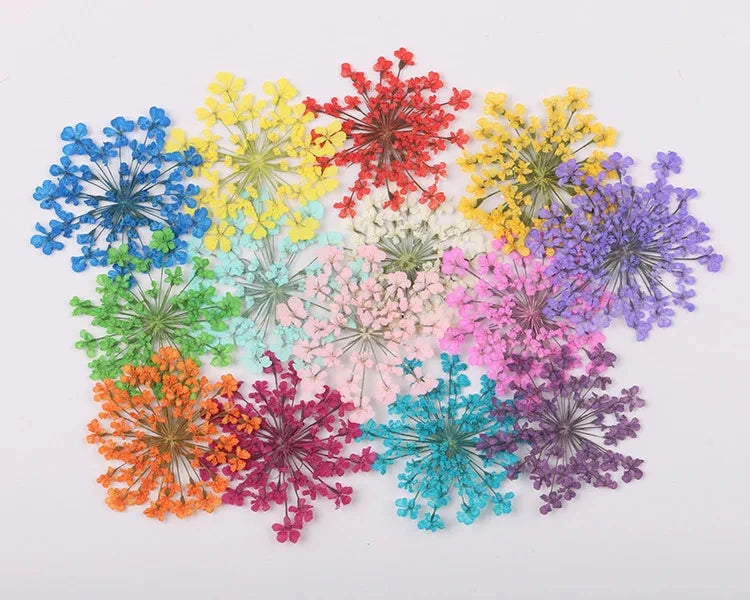 120 pieces per batch. Natural dried white lace flower embossings, used for nail art, snowflake bead floral DIY gift handicrafts,