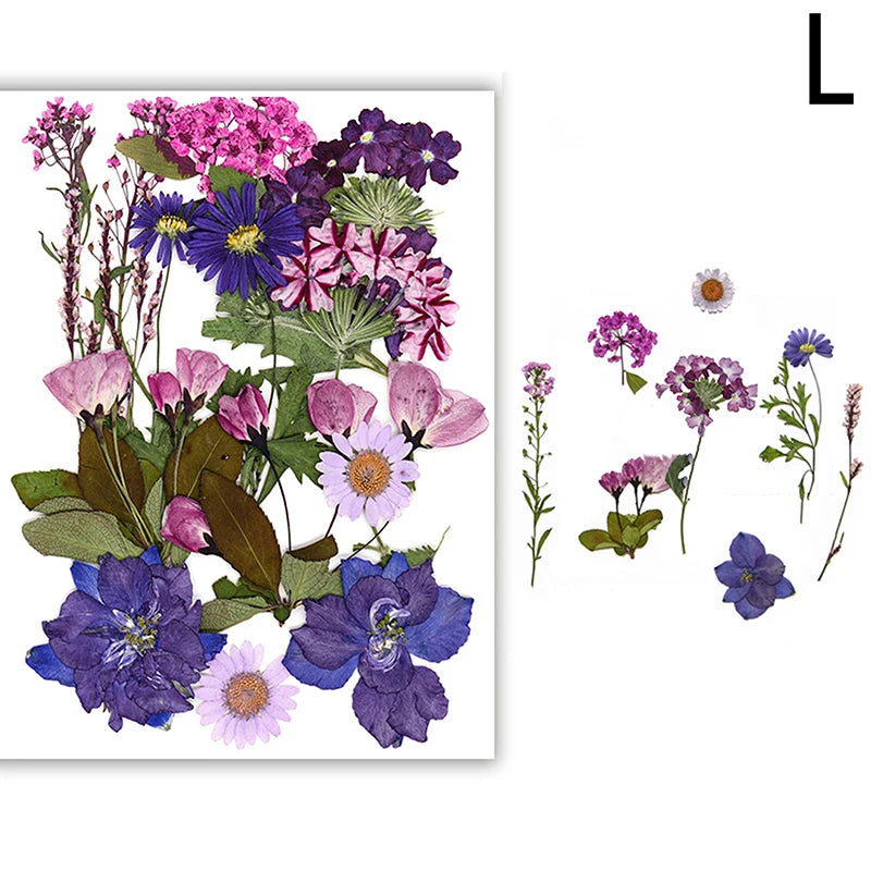 Dried Flowers Real Natural Plant Pressed Flower For Epoxy Resin Filling DIY Nail Art Handicrafts Jewelry Making Craft