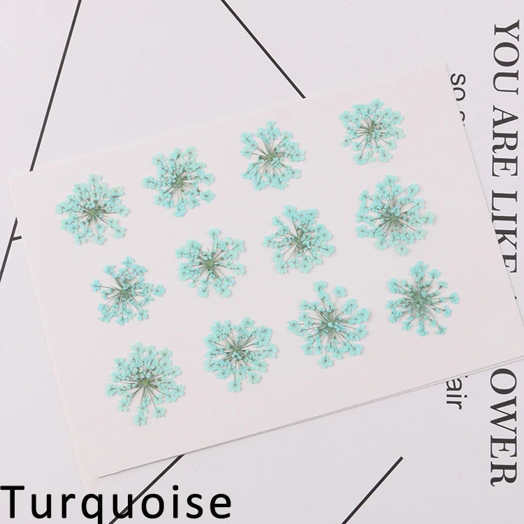 120 pieces per batch. Natural dried white lace flower embossings, used for nail art, snowflake bead floral DIY gift handicrafts,