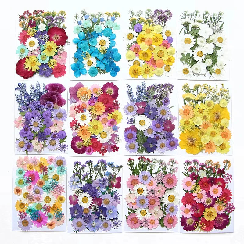 Dried Flowers Real Natural Plant Pressed Flower for Tray Mold Epoxy Resin DIY Coaster Making Decoration Home Accessories Crafts