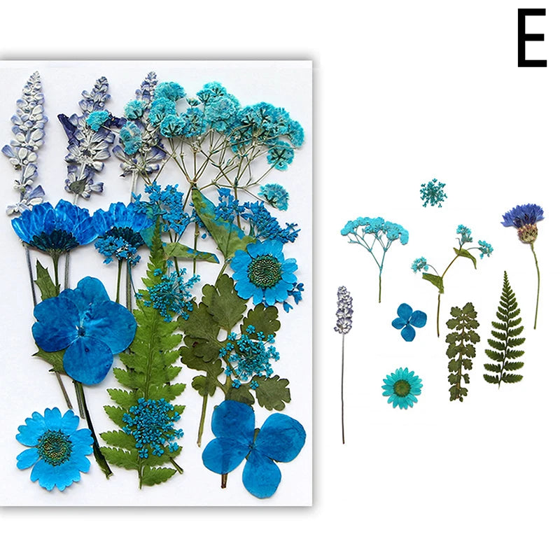 Dried Flowers Real Natural Plant Pressed Flower For Epoxy Resin Filling DIY Nail Art Handicrafts Jewelry Making Craft