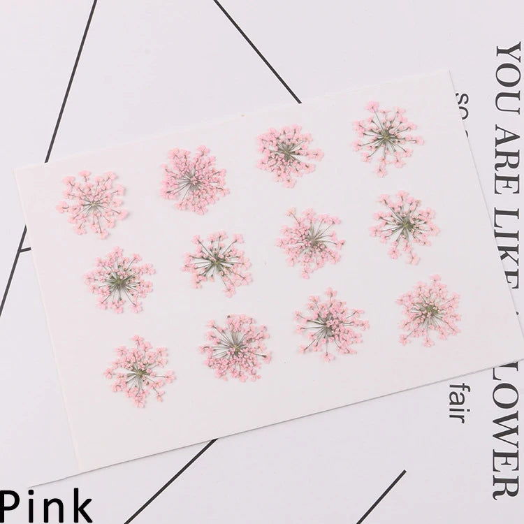 120 pieces per batch. Natural dried white lace flower embossings, used for nail art, snowflake bead floral DIY gift handicrafts,