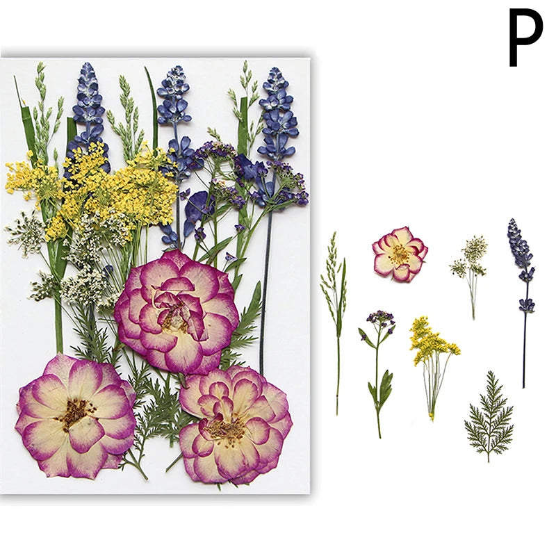 Dried Flowers Real Natural Plant Pressed Flower For Epoxy Resin Filling DIY Nail Art Handicrafts Jewelry Making Craft