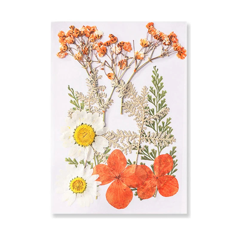 Dried Flowers Real Natural Plant Pressed Flower for Tray Mold Epoxy Resin DIY Coaster Making Decoration Home Accessories Crafts