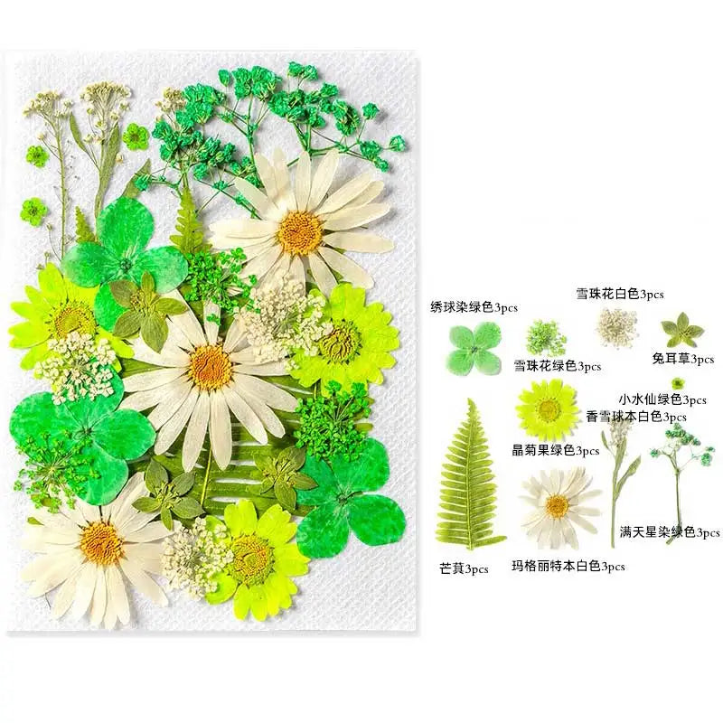 New Mixed Style Dried Pressed Flowers for DIY Resin Jewelry Mold Making Natural Real Dried Flower Leaves Candle Art Decoration