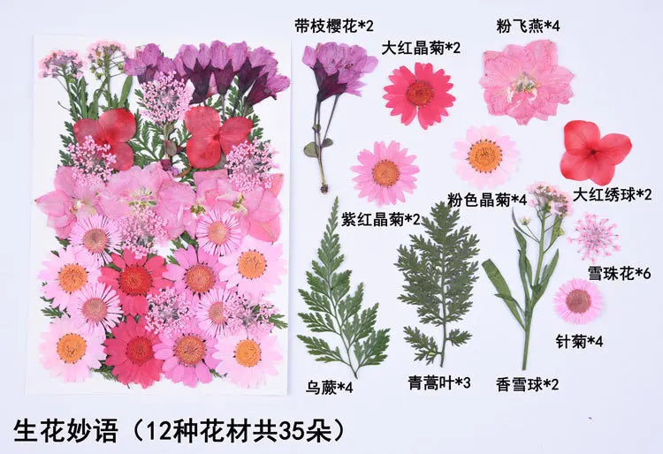 1 Package 34-40PCS Dried Flowers DIY Pressed Flowers Stickers For Resin Mold Fiilings Jewelry Making Crafts Nail Art Decor