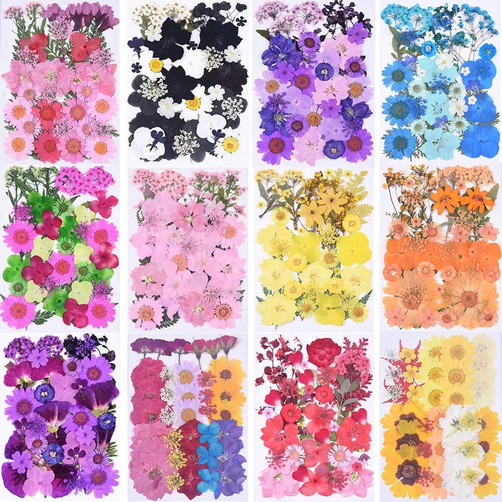 1 Bag 34-40PCS Dried Pressed Flowers For DIY Phone Case Jewelry Making Crafts Natural Real Flowers Nail Art Decor Party Home