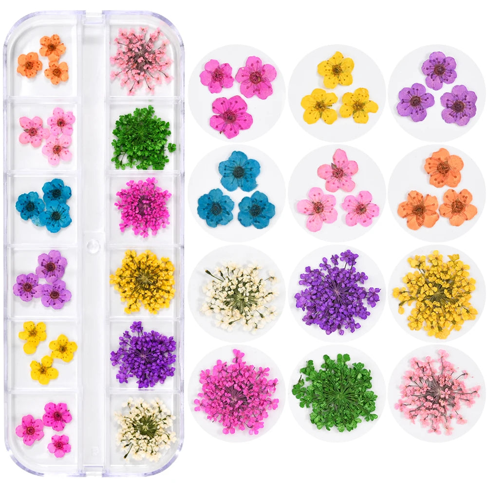 12Grid Colorful Dried Flower For Nail Charms Natural Floral Sticker Mix Dry Flowers Decal DIY UV Gel Polish Nail Art Manicure