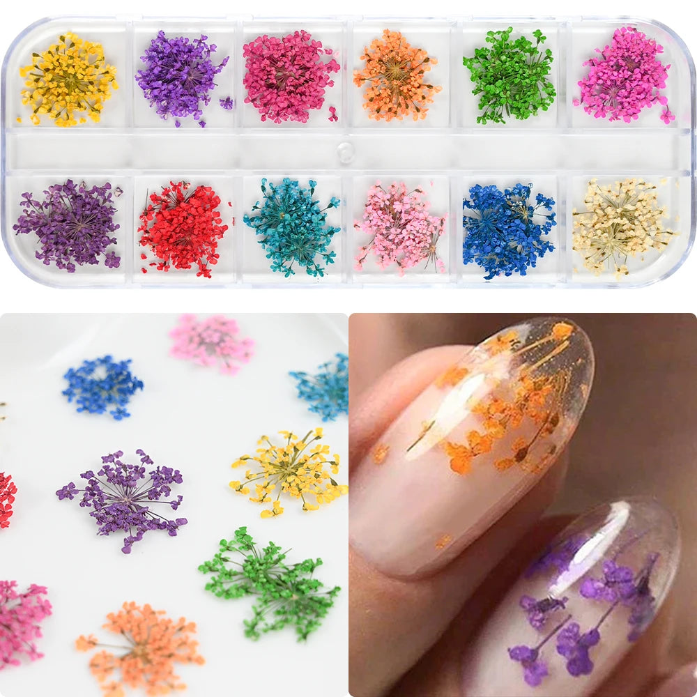 12Grid Colorful Dried Flower For Nail Charms Natural Floral Sticker Mix Dry Flowers Decal DIY UV Gel Polish Nail Art Manicure