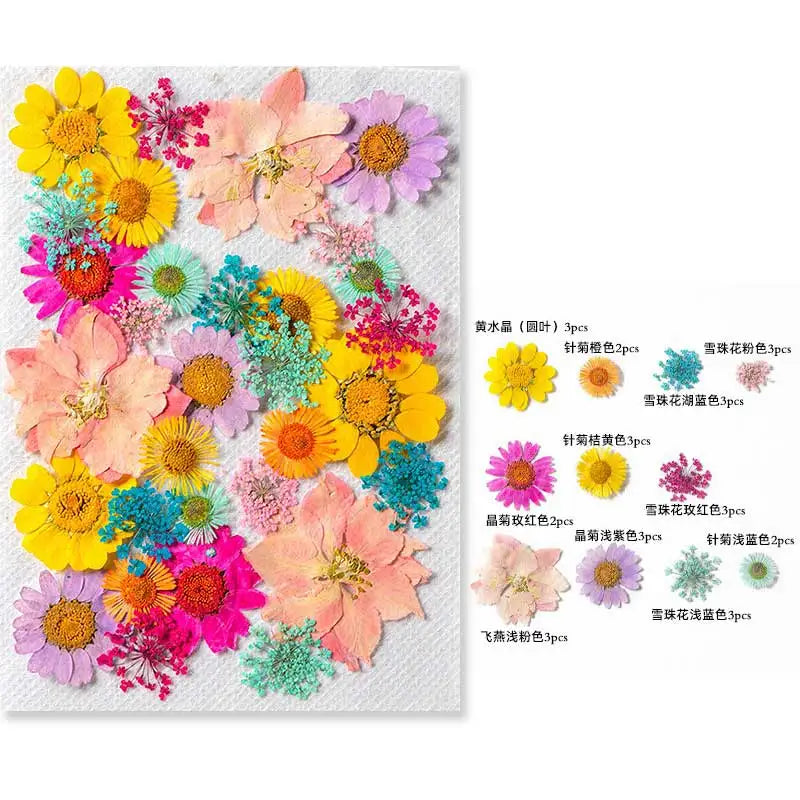 New Mixed Style Dried Pressed Flowers for DIY Resin Jewelry Mold Making Natural Real Dried Flower Leaves Candle Art Decoration