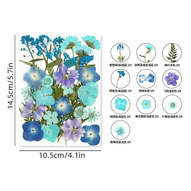 30PCS Package Dried Pressed Flowers for Resin Art Craft Supplies Scrapbooking DIY Candle Mold Fillings Natural Real Flower Leave