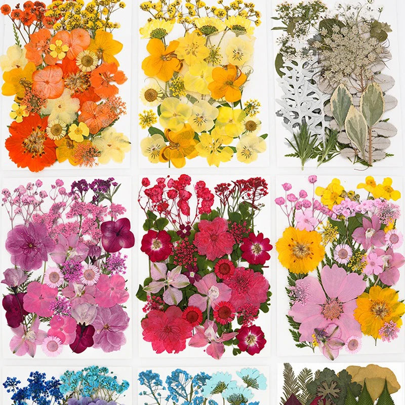 30PCS Package Dried Pressed Flowers for Resin Art Craft Supplies Scrapbooking DIY Candle Mold Fillings Natural Real Flower Leave