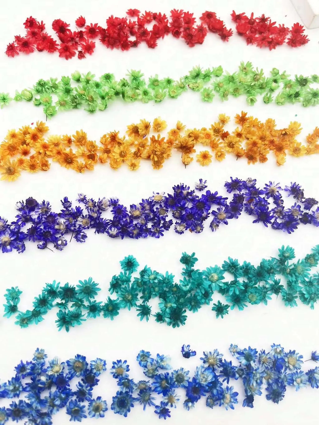 Artificial Plants Natural Real Dried Flowers for Candles Mold Epoxy Resin DIY Making Decoration Nail Art Home Accessories Crafts