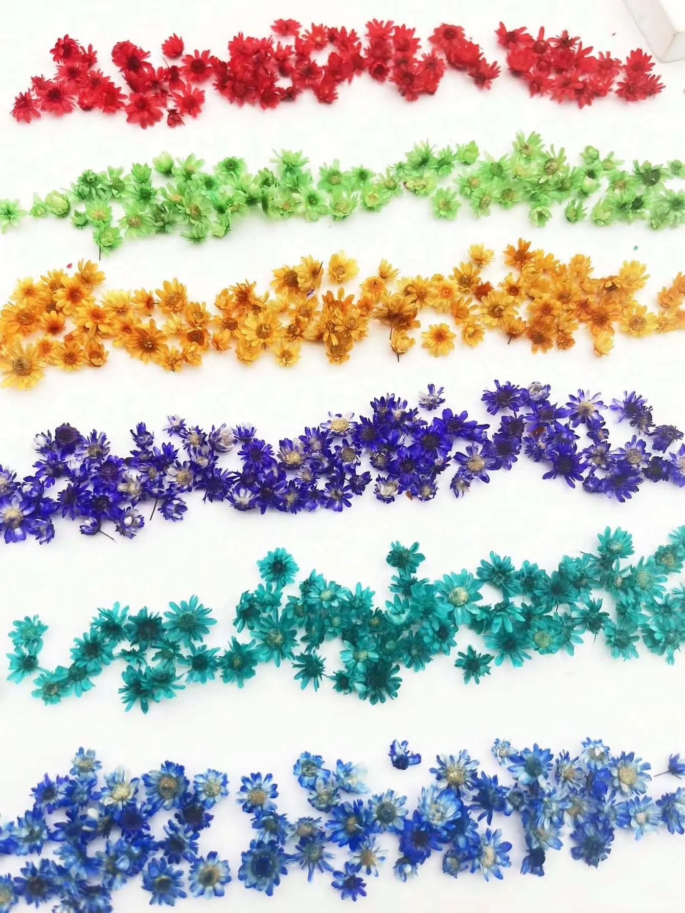 Artificial Plants Natural Real Dried Flowers for Candles Mold Epoxy Resin DIY Making Decoration Nail Art Home Accessories Crafts