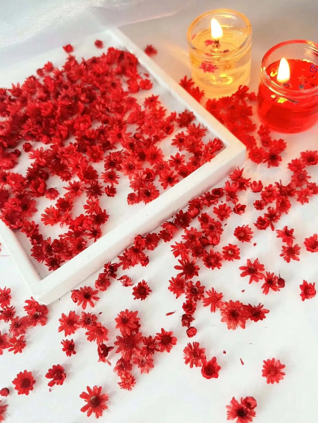 Artificial Plants Natural Real Dried Flowers for Candles Mold Epoxy Resin DIY Making Decoration Nail Art Home Accessories Crafts