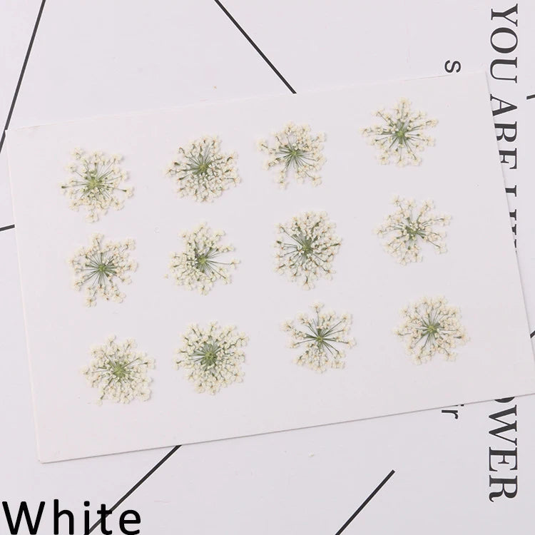 120 pieces per batch. Natural dried white lace flower embossings, used for nail art, snowflake bead floral DIY gift handicrafts,