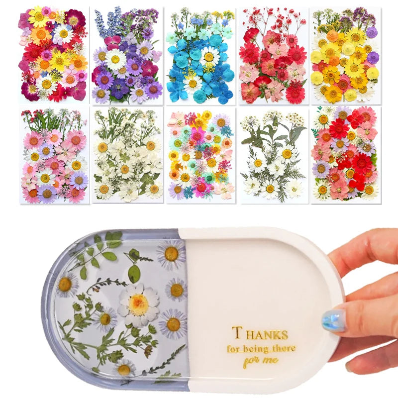 Dried Flowers Real Natural Plant Pressed Flower for Tray Mold Epoxy Resin DIY Coaster Making Decoration Home Accessories Crafts