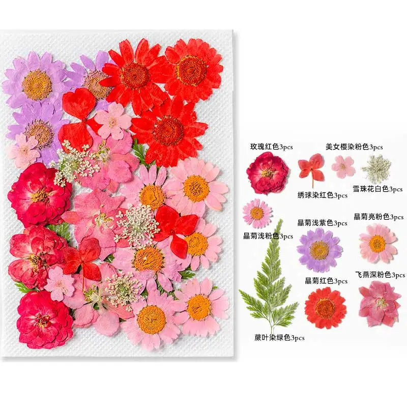 New Mixed Style Dried Pressed Flowers for DIY Resin Jewelry Mold Making Natural Real Dried Flower Leaves Candle Art Decoration