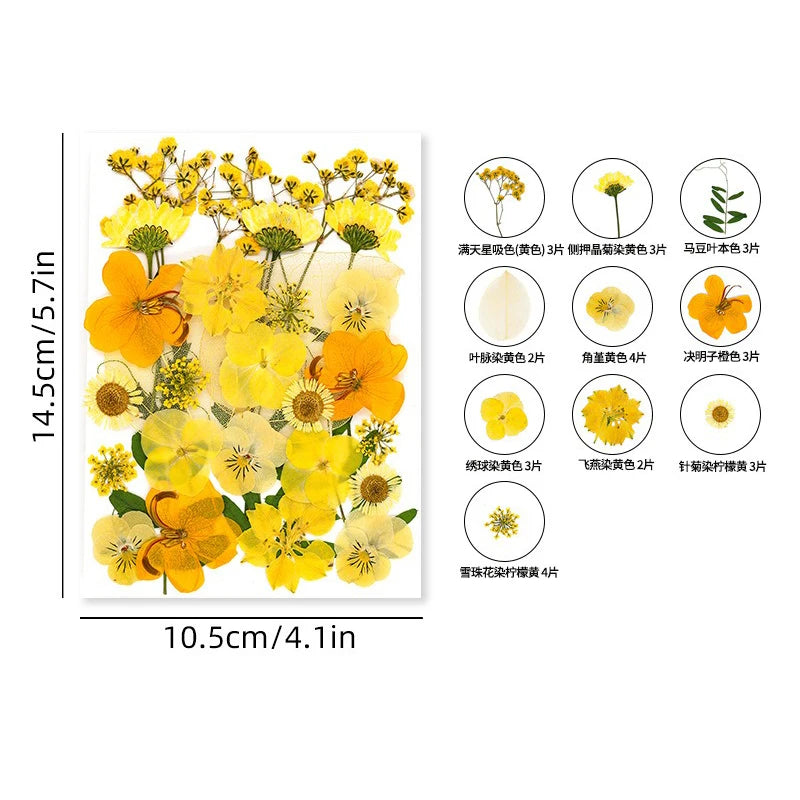 30PCS Package Dried Pressed Flowers for Resin Art Craft Supplies Scrapbooking DIY Candle Mold Fillings Natural Real Flower Leave