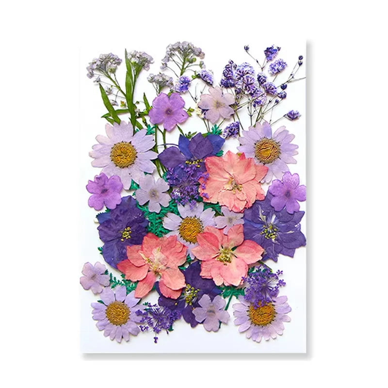 Dried Flowers Real Natural Plant Pressed Flower for Tray Mold Epoxy Resin DIY Coaster Making Decoration Home Accessories Crafts