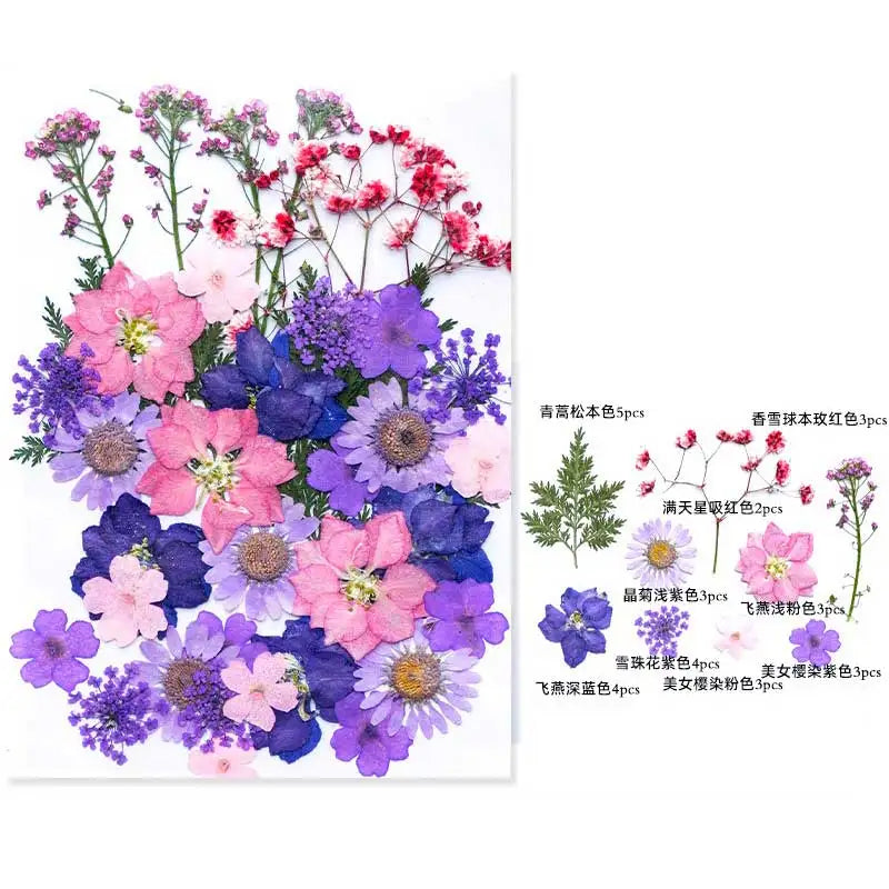 New Mixed Style Dried Pressed Flowers for DIY Resin Jewelry Mold Making Natural Real Dried Flower Leaves Candle Art Decoration