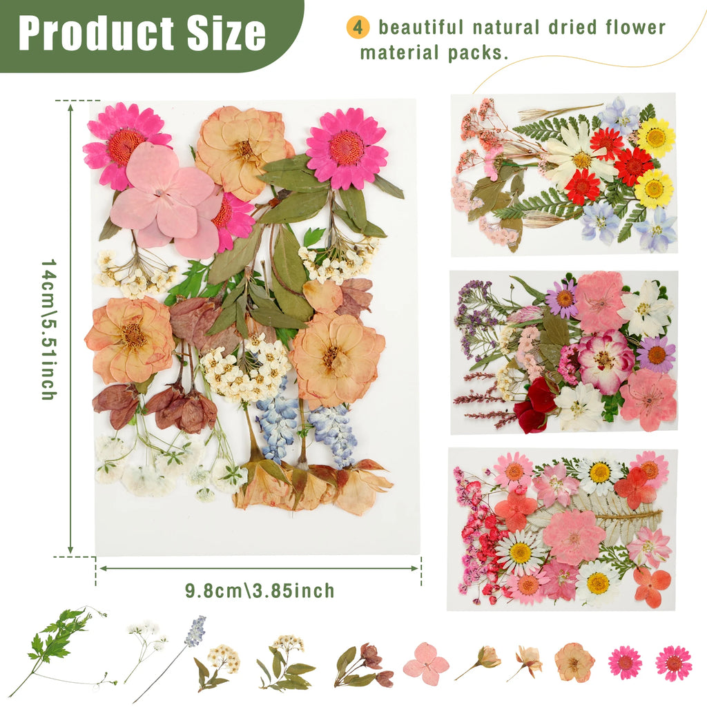 90Pcs Dried Pressed Flowers for Resin Molds Colorful Real Pressed Flowers Natural Dry Pressed Flowers Beautiful Dried Flower DIY