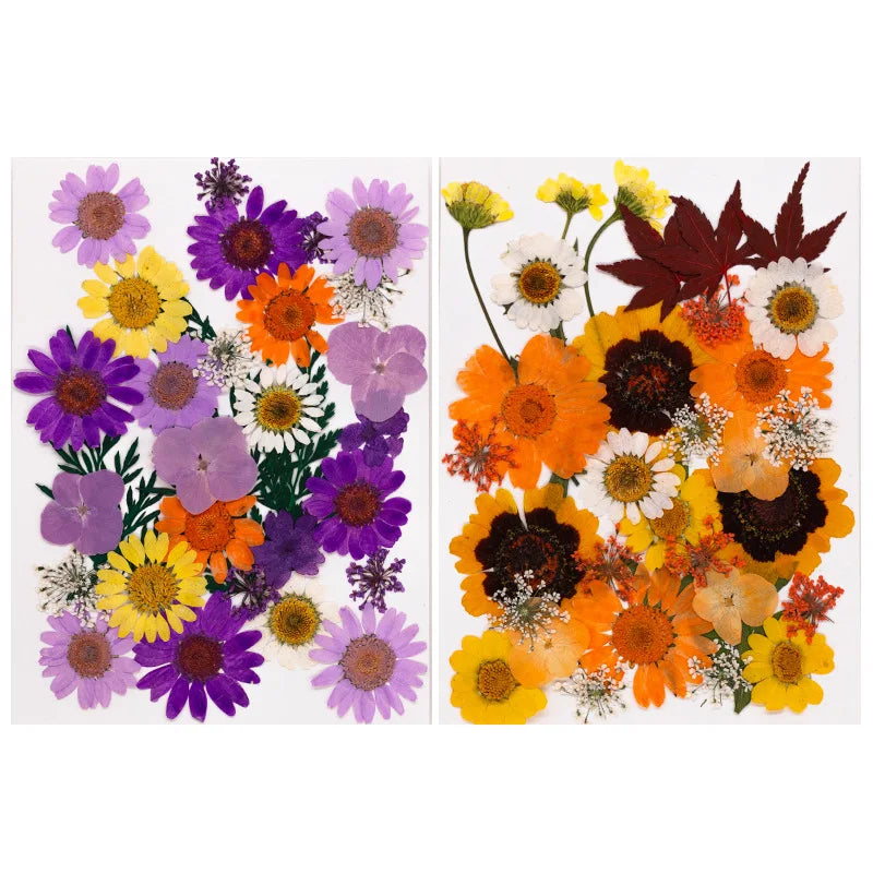 New Mixed Style Dried Pressed Flowers for DIY Resin Jewelry Mold Making Natural Real Dried Flower Leaves Candle Art Decoration