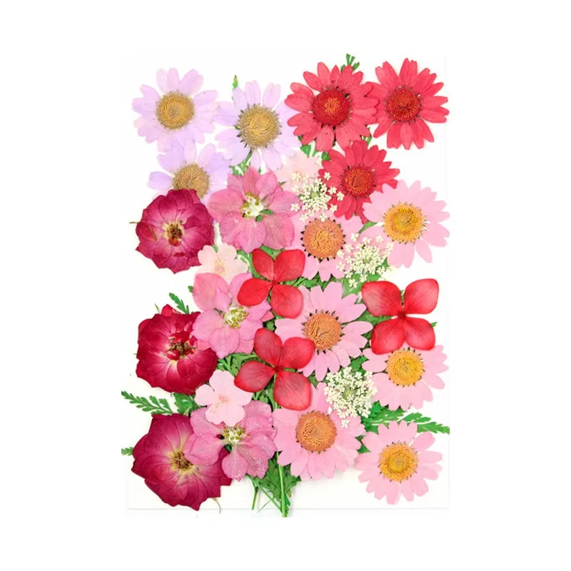 Dried Flowers Real Natural Plant Pressed Flower for Tray Mold Epoxy Resin DIY Coaster Making Decoration Home Accessories Crafts