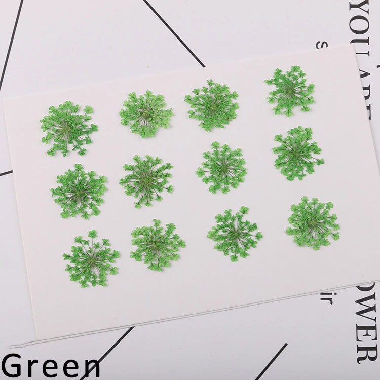 120 pieces per batch. Natural dried white lace flower embossings, used for nail art, snowflake bead floral DIY gift handicrafts,