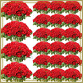 500 Pcs Artificial Silk Roses with Long Stems for Wedding Bouquet Home Party Decoration Gifts (Red)