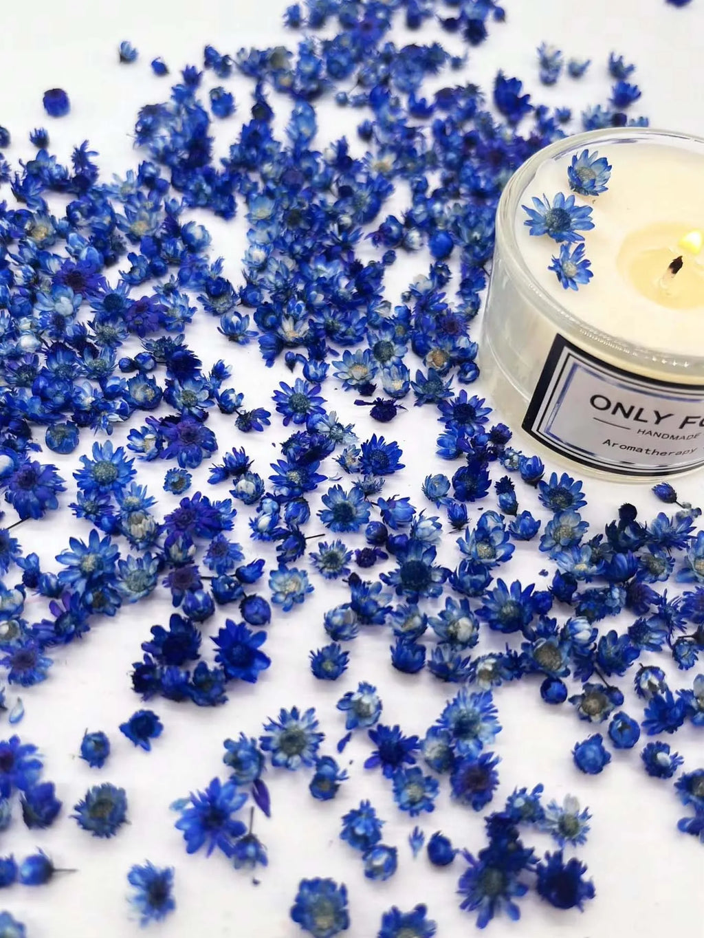 Artificial Plants Natural Real Dried Flowers for Candles Mold Epoxy Resin DIY Making Decoration Nail Art Home Accessories Crafts