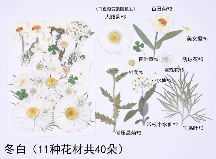 1 Package 34-40PCS Dried Flowers DIY Pressed Flowers Stickers For Resin Mold Fiilings Jewelry Making Crafts Nail Art Decor