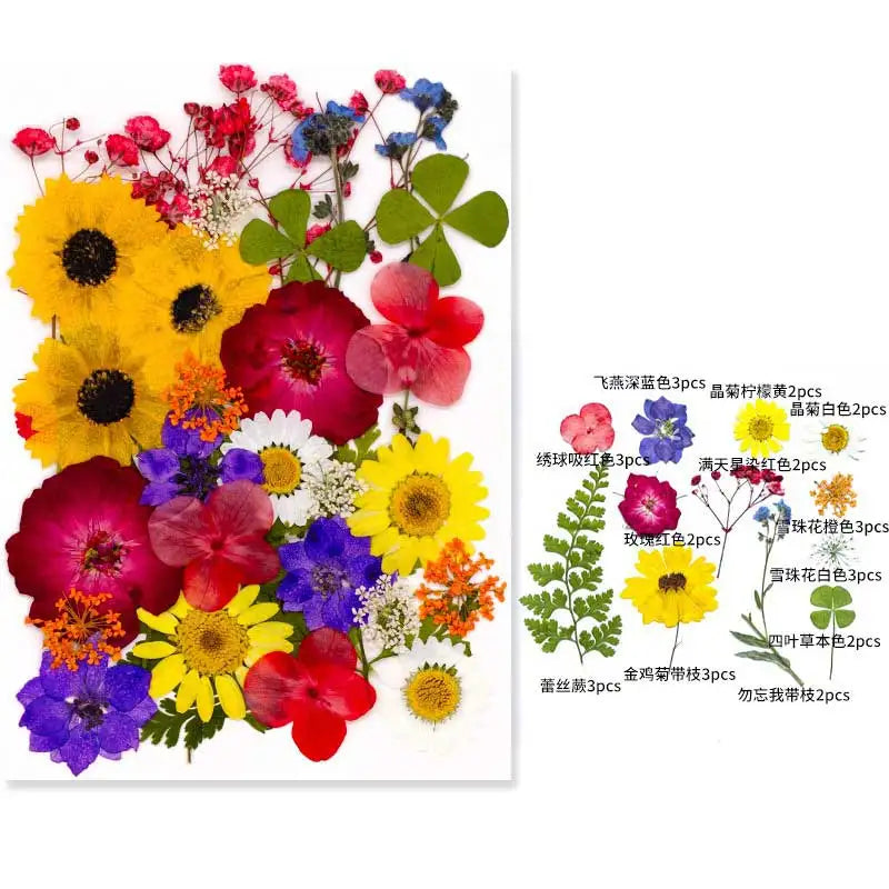 New Mixed Style Dried Pressed Flowers for DIY Resin Jewelry Mold Making Natural Real Dried Flower Leaves Candle Art Decoration